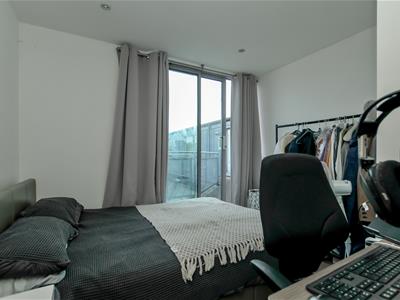 Picture 12